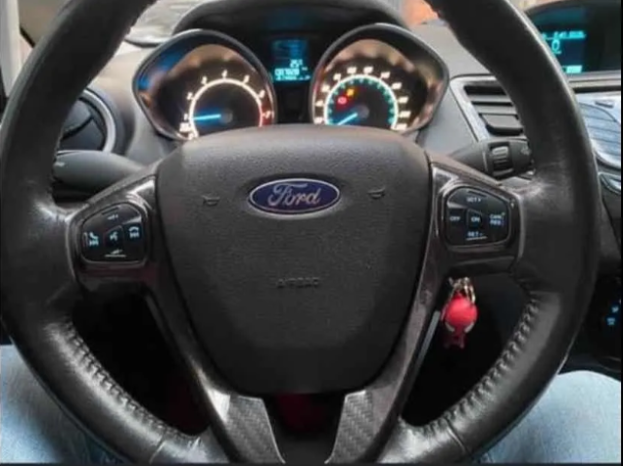 2014 Ford Fiesta lleno