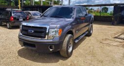 Ford F150 2014