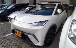 BYD Seagull 2025