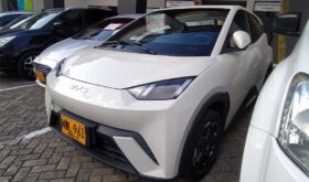 BYD Seagull 2025