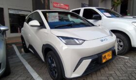 BYD Seagull 2025