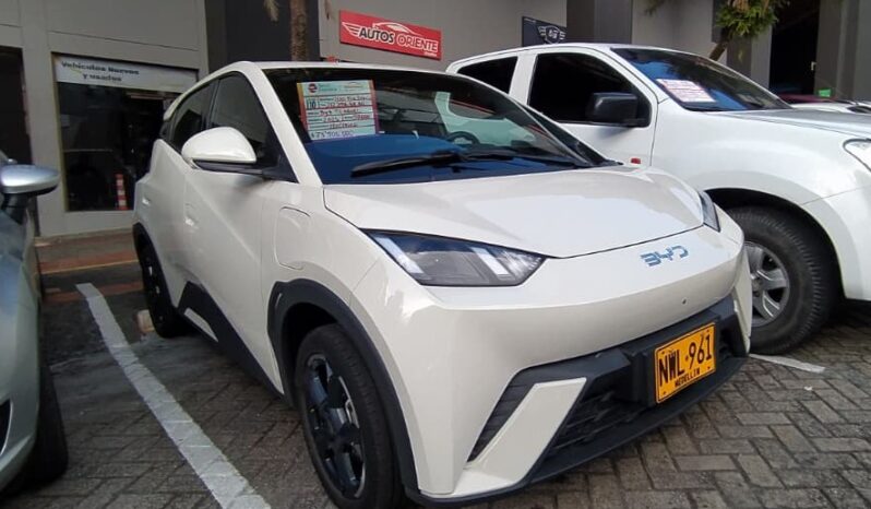 BYD Seagull 2025 lleno