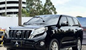 Toyota Prado 2011 TX