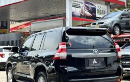 Toyota Prado 2011 TX