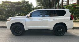Toyota Prado TXL 2019
