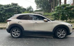 Mazda CX-30 GRAND TOURING MHEV 2023 HIBRIDO LIGERO