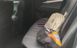 Chevrolet Colorado 2020 2.8L