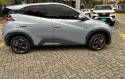 BYD SEAGULL GS 400 2026