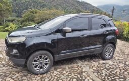 Ford Escort 2014 Freestyle