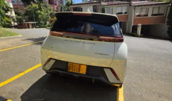 BYD Seagull 2025 lleno