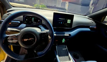 BYD Seagull 2025 lleno