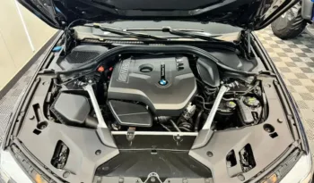 BMW 520i 2019 G30 lleno