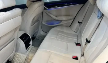 BMW 520i 2019 G30 lleno