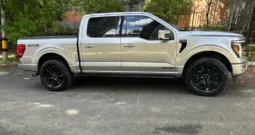 Ford F-150 PLATINUM FHEV 2025 HIBRIDO