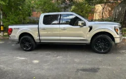 Ford F-150 PLATINUM FHEV 2025 HIBRIDO