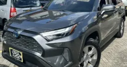 Toyota RAV4 2022