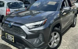 Toyota RAV4 2022