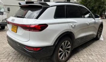 Audi Q6 Etron 2025 45 Tech Plus lleno