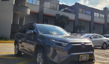 Toyota RAV4 2022 lleno