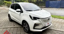 Changan E-STAR 2023 AT 55KW