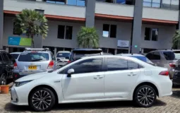 Toyota Corolla Sedan 2024