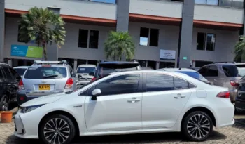 Toyota Corolla Sedan 2024 lleno