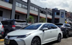 Toyota Corolla Sedan 2024