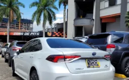Toyota Corolla Sedan 2024