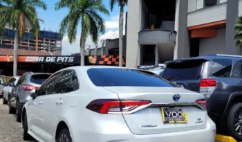 Toyota Corolla Sedan 2024 lleno